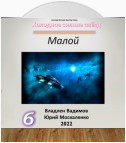 Малой 6