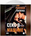 Секс в машине. Русская госпожа. Фемдом рассказ