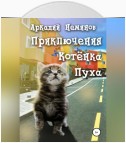 Приключения Котёнка Пуха