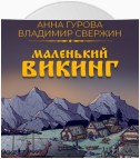 Маленький викинг