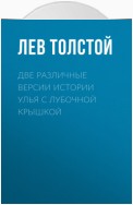 Две различные версии истории улья с лубочной крышкой