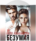 Три километра безумия