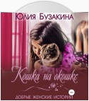 Кошка на окошке