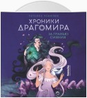 Хроники Драгомира. Книга 1. За гранью сияния