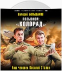 Позывной: «Колорад». Наш человек Василий Сталин