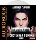 Ари Ками. Книга 3. Системная ошибка