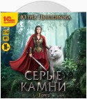 Серые камни. Том 2