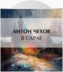 В сарае