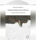 Трагедия Берельского ледника (из рассказов геолога)