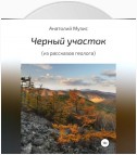 Черный участок (из рассказов геолога)