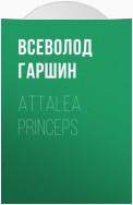 Attalea princeps