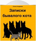 Записки бывалого кота