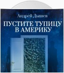 Пустите тупицу в Америку