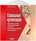 Социальные организации: структура, виды, организационная культура и организационный менеджмент