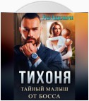 Тихоня. Тайный малыш от босса