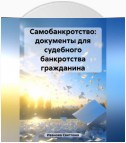 Самобанкротство: документы для судебного банкротства гражданина