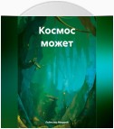 Космос может