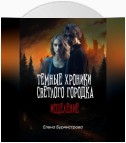 Темные хроники светлого городка. Исцеление