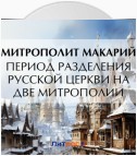 Период разделения Русской Церкви на две митрополии