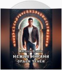 Между мирами. Орден теней