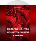 Новогоднее чудо для потрепанной книжки