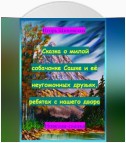 Сказка о милой собачонке Сашке и её неугомонных друзьях, ребятах с нашего двора