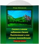 Сказка о юном забавном ёжике Пыхтелкине и его лесных похождениях