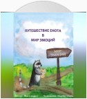 Детская психологическая сказка про эмоции «Путешествие енота в мир эмоций»