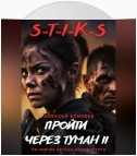 S-T-I-K-S. Пройти через туман II