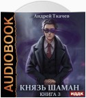 Князь шаман. Книга 3