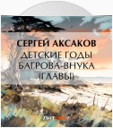 Детские годы Багрова-внука (Главы)