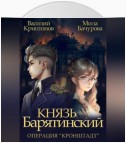 Князь Барятинский 4. Операция «Кронштадт»