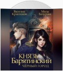 Князь Барятинский 3. Чёрный город