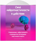 Сила нейропластичности в действии: Упражнения, нейротренинги и раскрытие потенциала пластичного мозга