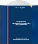 Разработка программы развития предприятия. Пример выпускной квалификационной работы