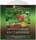 Декоративные кустарники