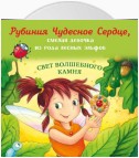 Рубиния Чудесное Сердце, смелая девочка из рода лесных эльфов. Свет волшебного камня