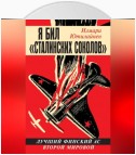 Я бил «сталинских соколов». Лучший финский ас Второй Мировой