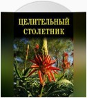 Целительный столетник