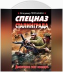 Спецназ Сталинграда