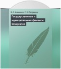 Государственные и муниципальные финансы. Шпаргалка