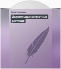 Целительные комнатные растения