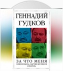 За что меня невзлюбила «партия жуликов и воров»