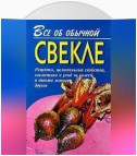 Все об обычной свекле