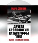 Другая хронология катастрофы 1941. Падение «сталинских соколов»