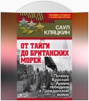 «От тайги до британских морей…»: Почему Красная Армия победила в Гражданской войне