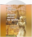 Играет ангел на трубе. Сборник стихов