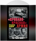 «Кроваво-Красная» Армия. По чьей вине?