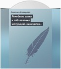 Лечебные злаки и заболевания желудочно-кишечного тракта