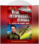 Небо, «штурмовик», девушка. «Я – „Береза!“ Как слышите меня?..